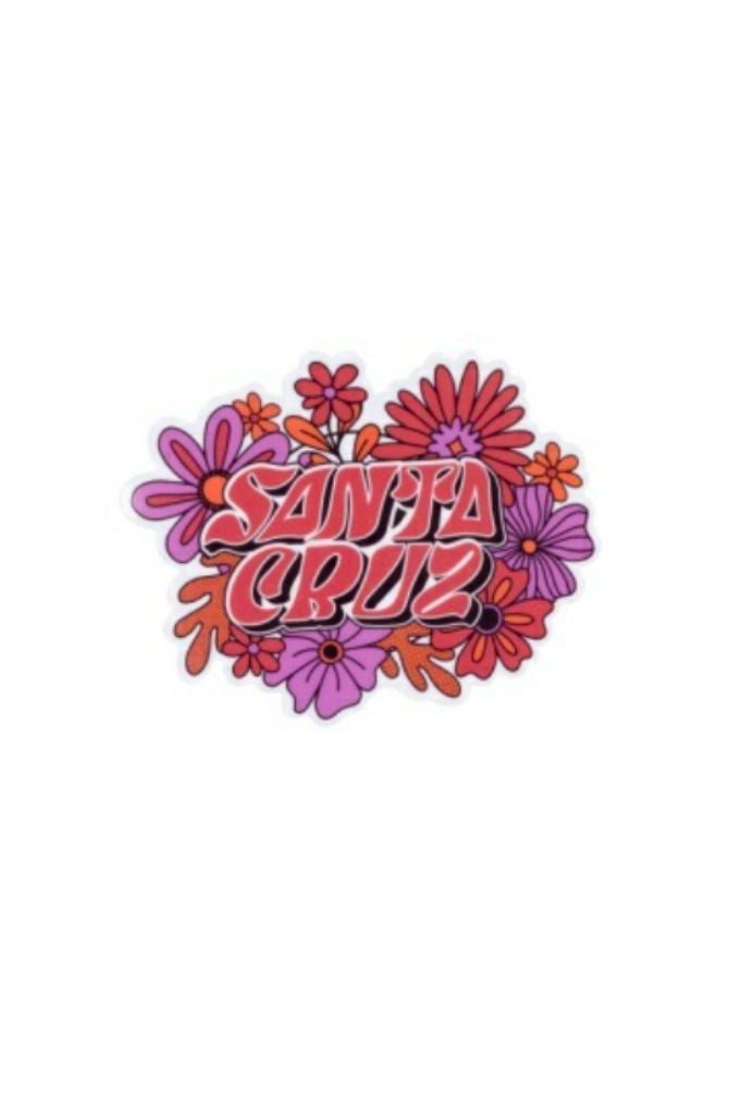 Santa Cruz Youth Vibes Sticker Assorted