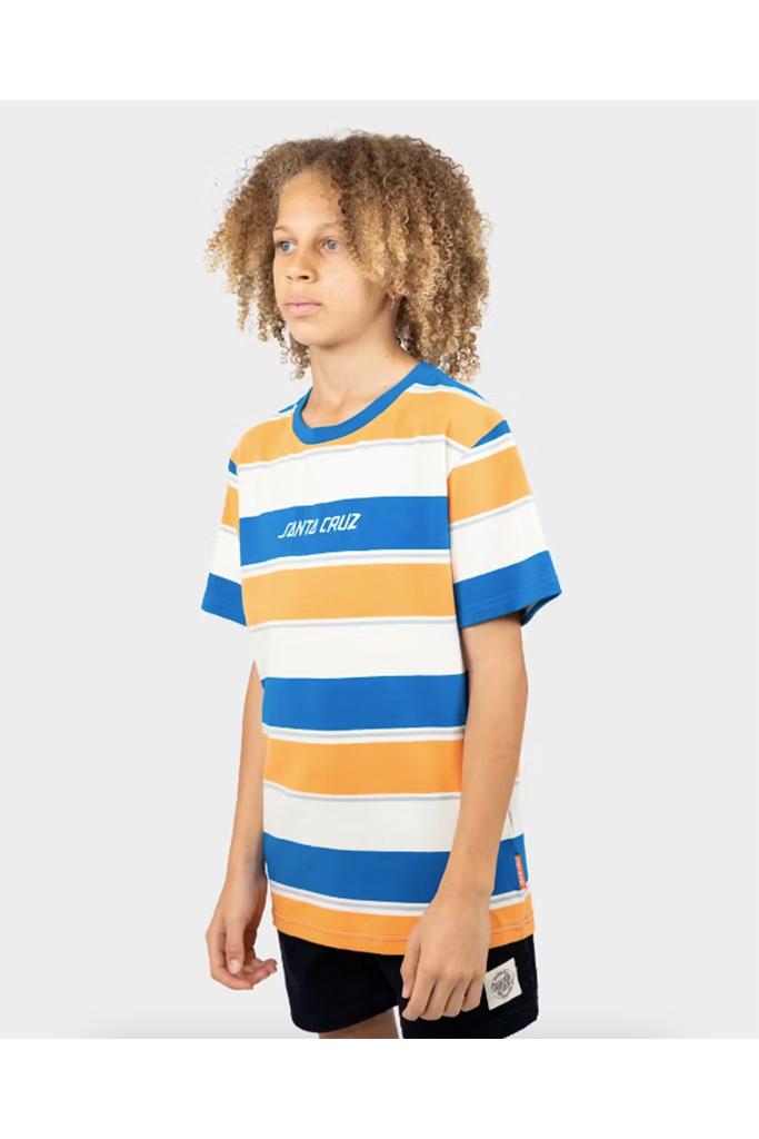 Santa Cruz Solid Strip Stripe Tee Multi