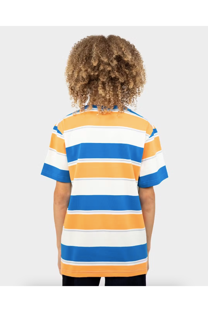 Santa Cruz Solid Strip Stripe Tee Multi