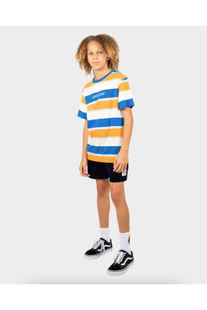 Santa Cruz Solid Strip Stripe Tee Multi