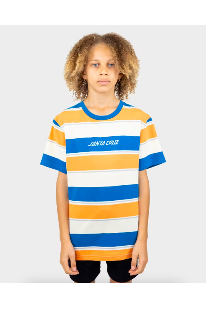 Santa Cruz Solid Strip Stripe Tee Multi